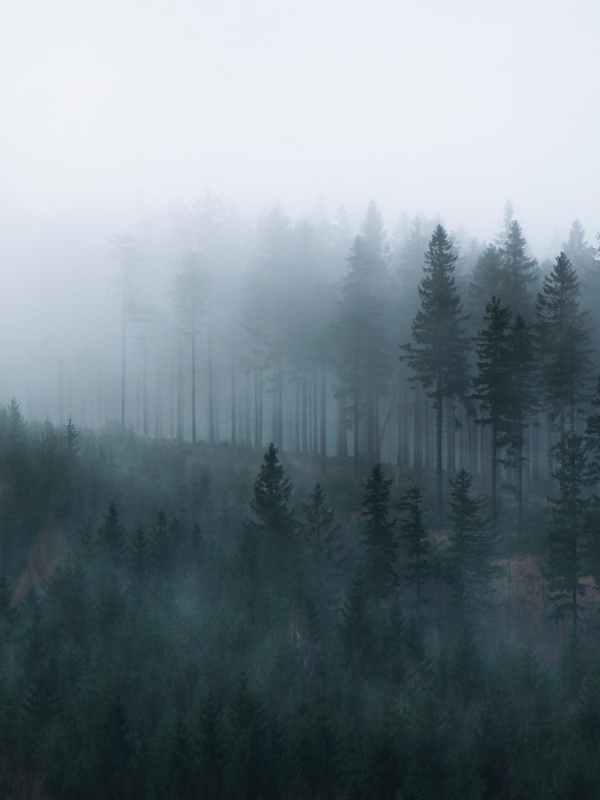 Sonntag, den 31. Dezember 2023 | Altjahres-Gottesdienste mit Abendmahl um 10.30 Uhr und um 18.00 Uhr | #neujahr