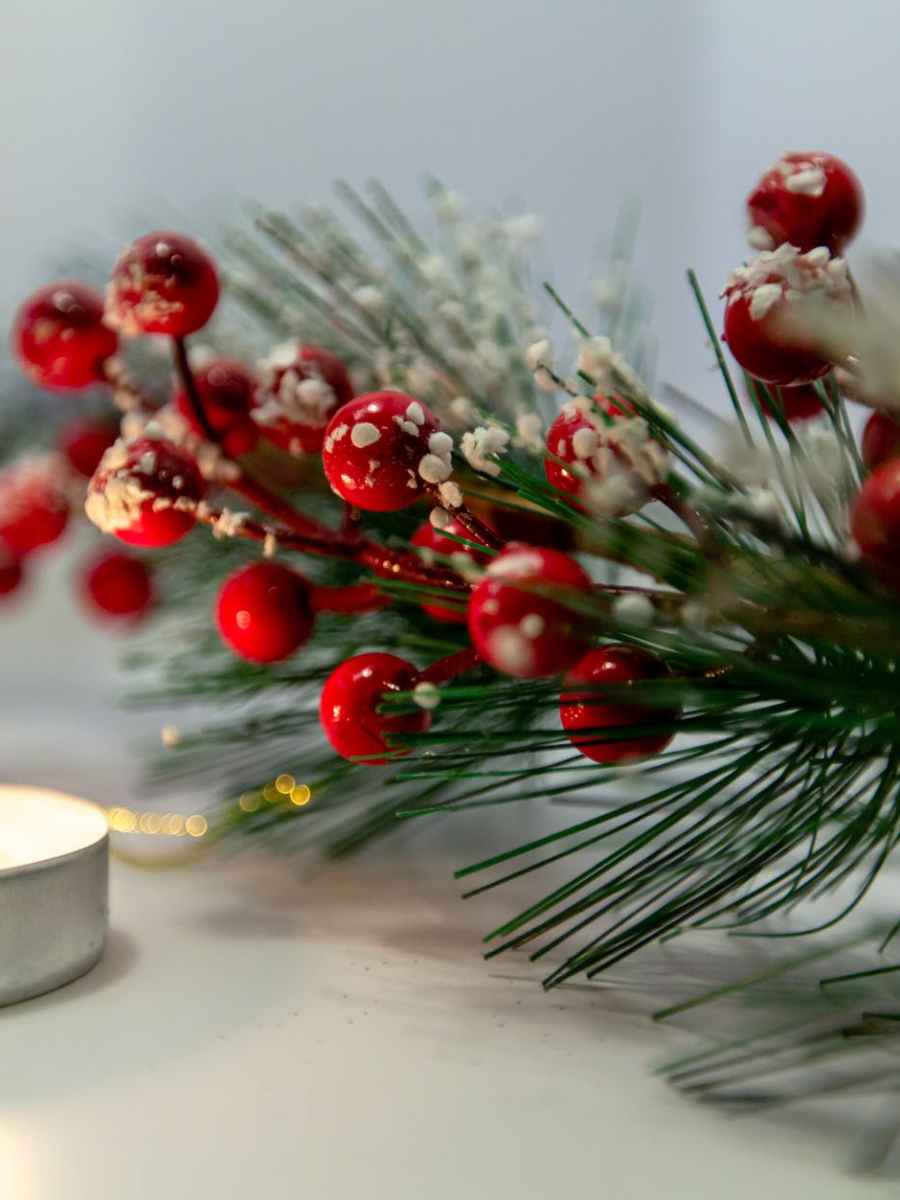 “Zeit mit IHM” | Digitale Fastenwoche im Advent | ab dem 3. Dezember 2023