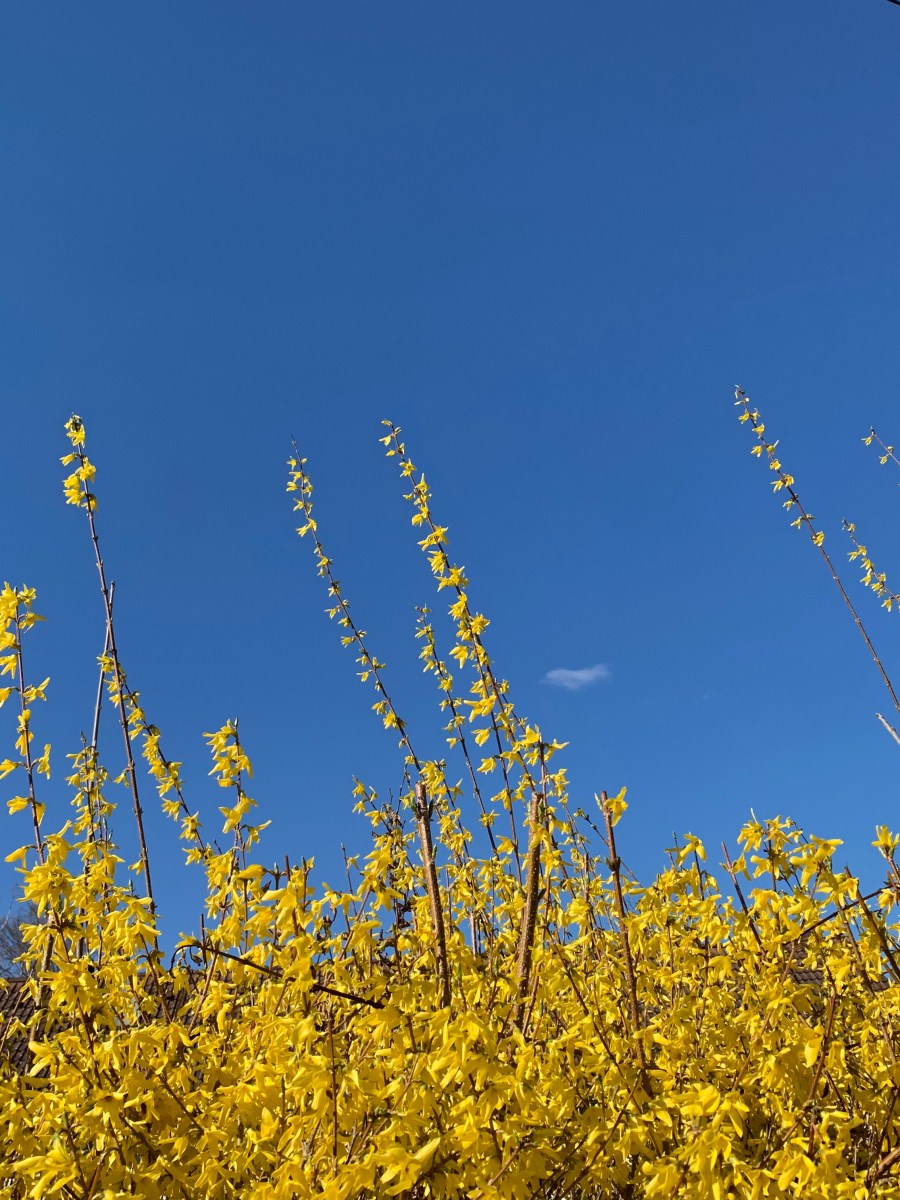 Monatsprogramm | April 2023