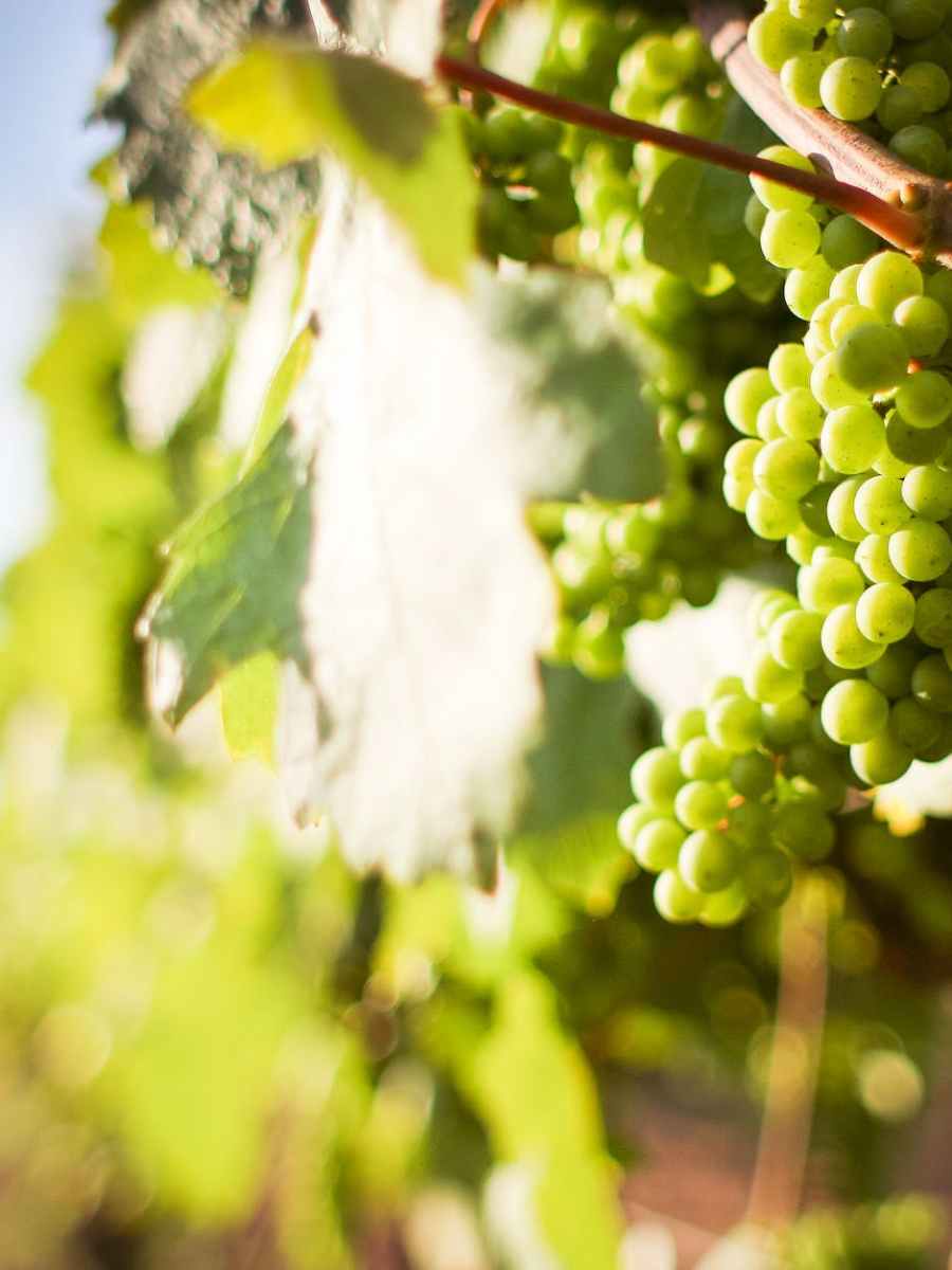 Gottesdienst am 30. April 2023 | KONFIRMATION | Jubilate | 3. Sonntag nach Ostern