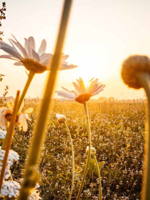 20. April | Alphakurs-Nachtreffen