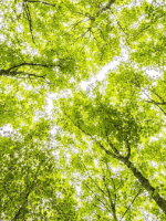 20. Juni 2023 | Hauskreisleiter-Treffen zur Gemeindefreizeit