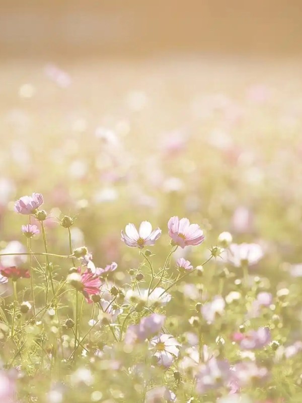 Monatsprogramm | Juni 2023