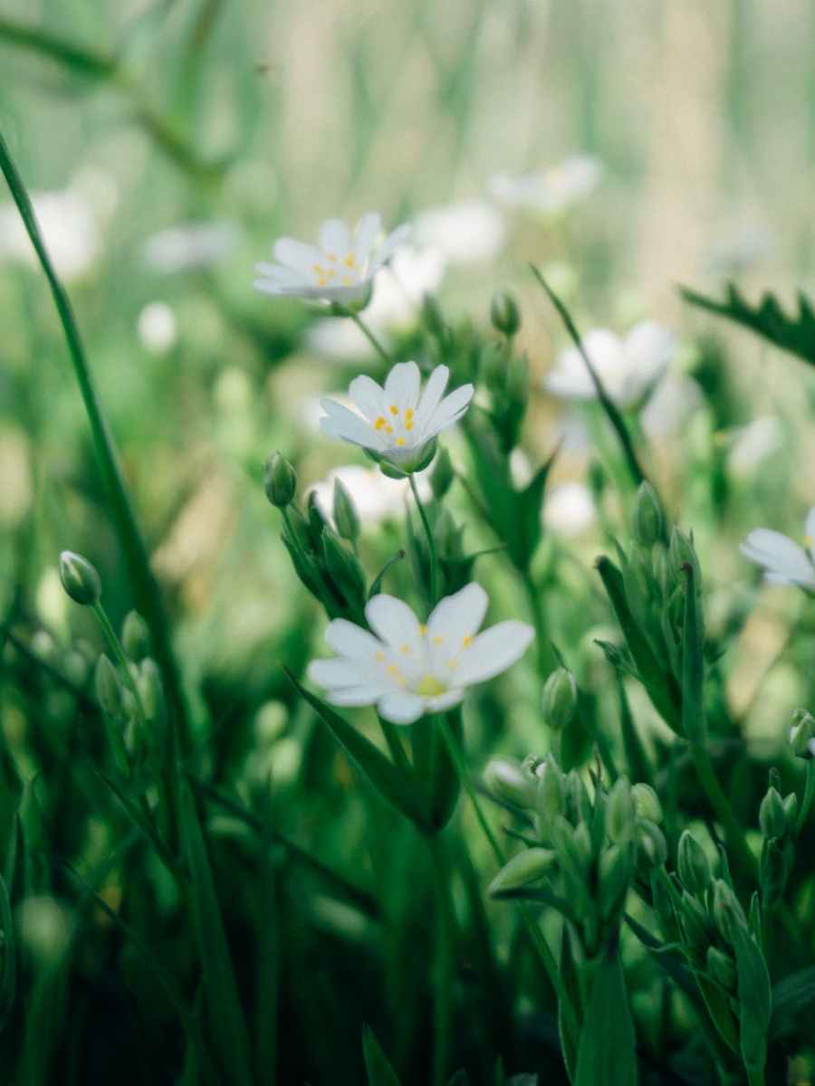23. – 25. Juni 2023 | Gemeindefreizeit in Weiskirchen | „Sawubona!“