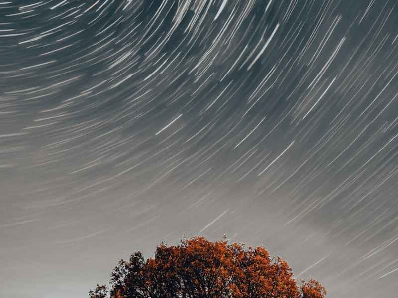 Worte von Edwin Dedekind zu Weihnachten 2023