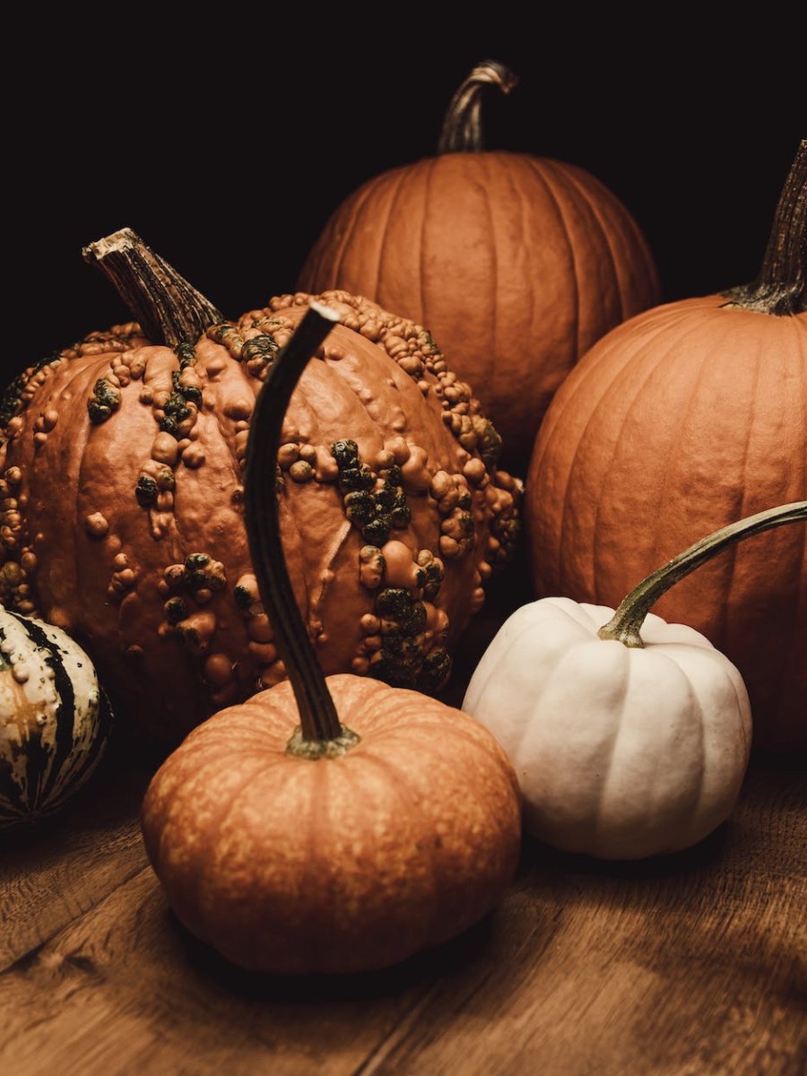 Gottesdienst am 1. Oktober 2023 | Erntedank | #oase #reichbeschenkt