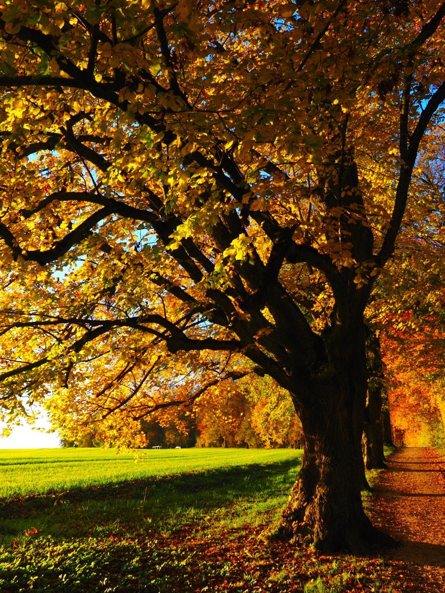 Monatsprogramm | Oktober 2023