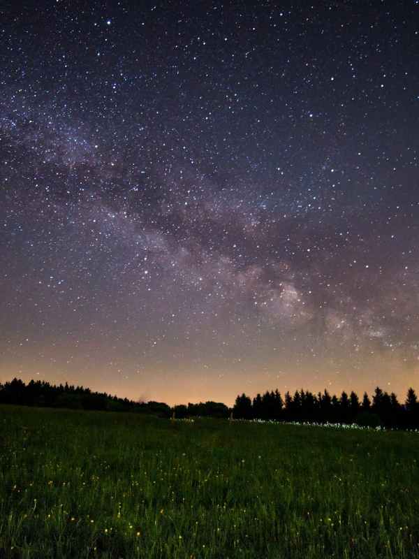 Monatsprogramm | November 2023