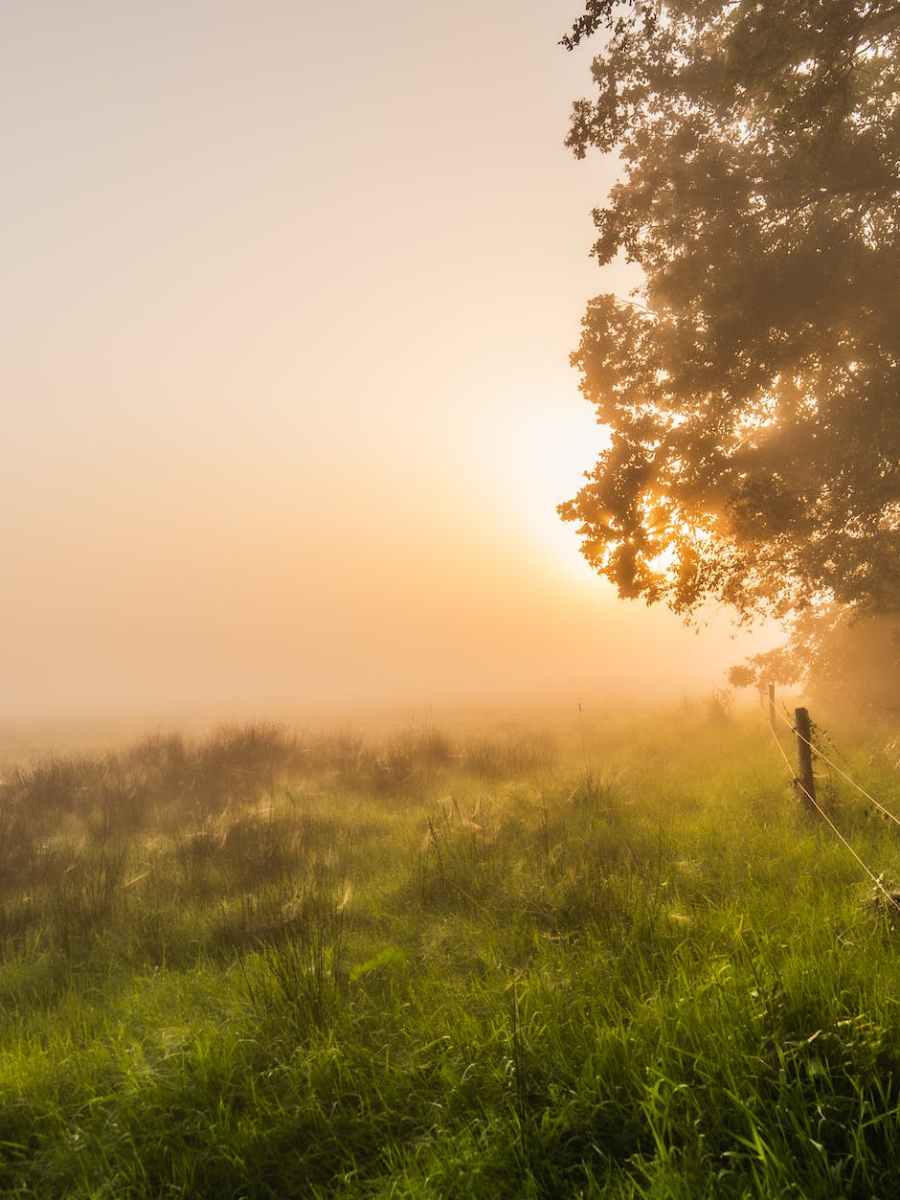 Monatsprogramm | September 2024