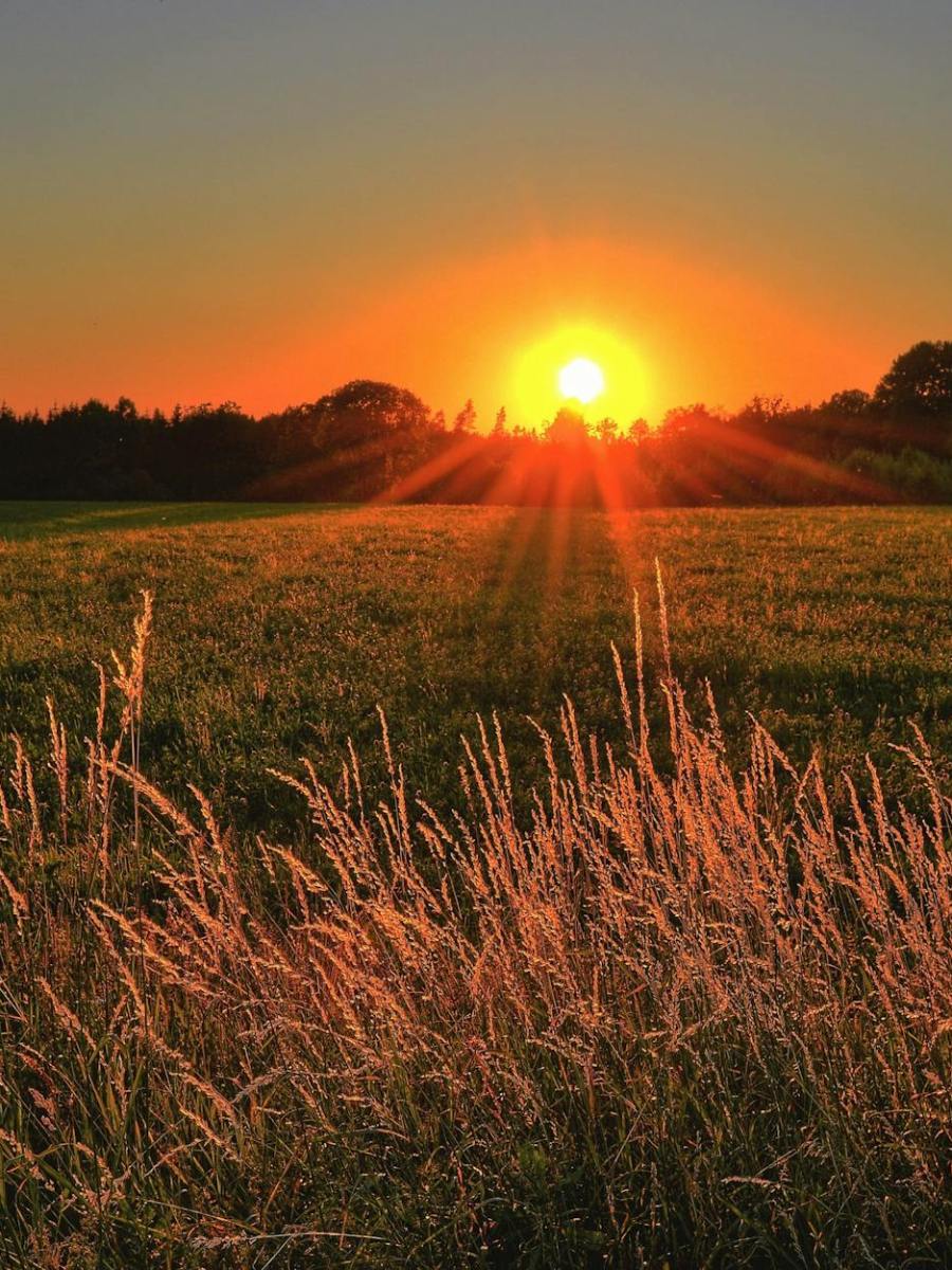 Gottesdienst am 9. Sonntag nach Trinitatis | 28. Juli 2024 | #schatz #perle