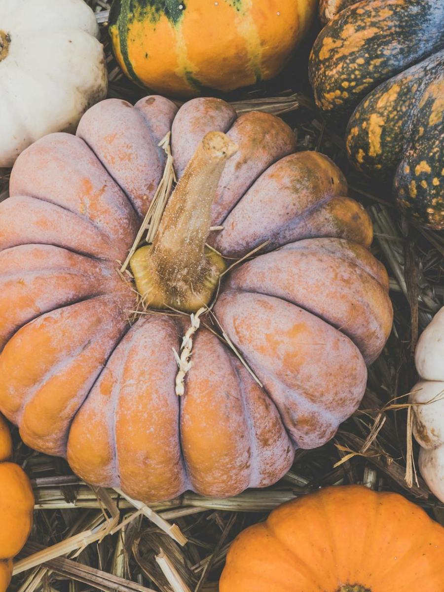 Monatsprogramm | Oktober 2024