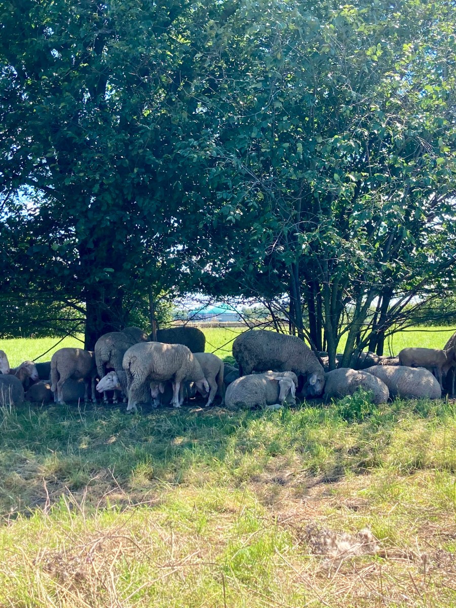 Monatsprogramm | November 2025