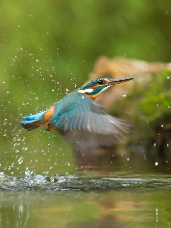 Monatsprogramm | Juli 2025