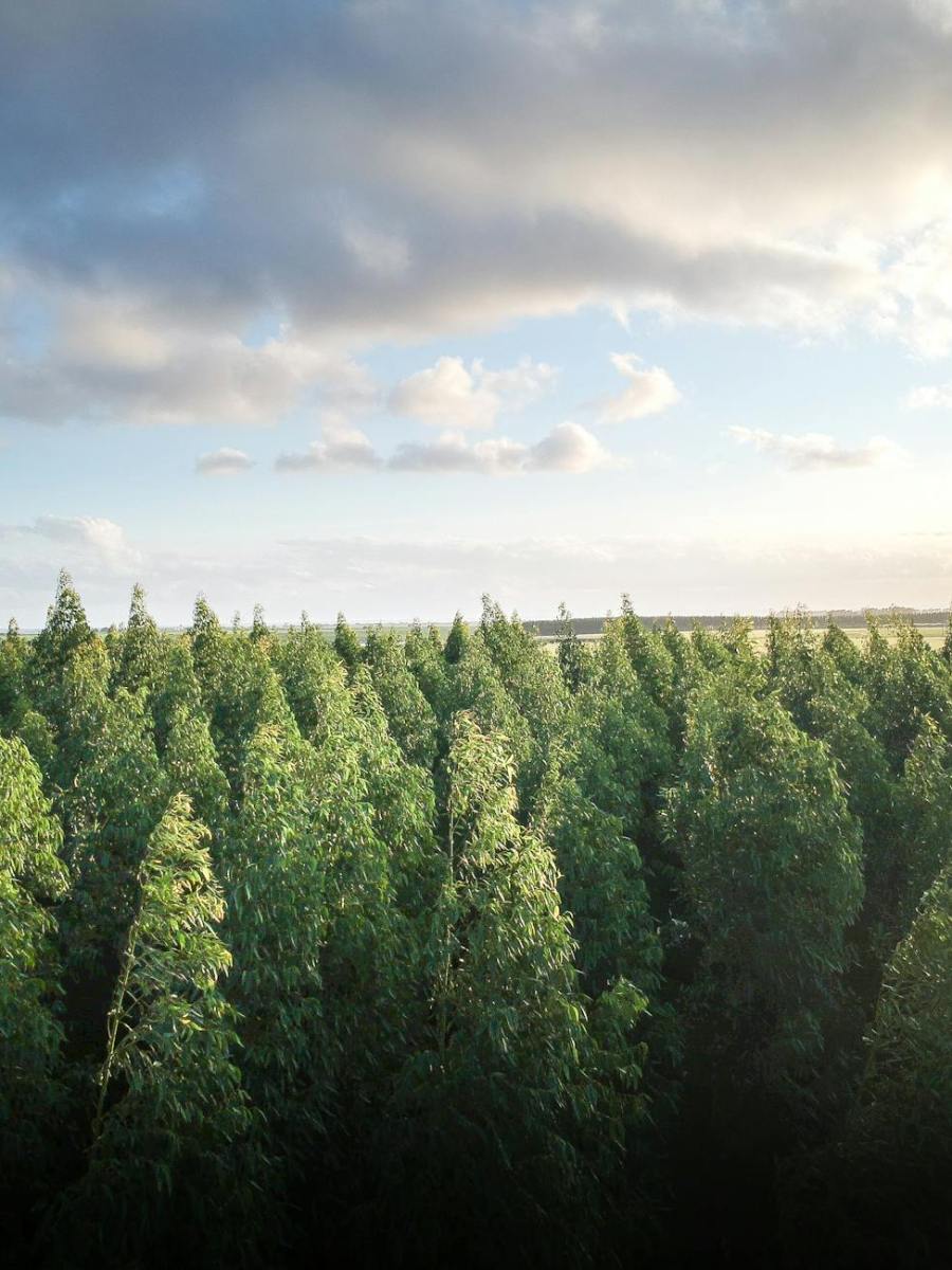 Gottesdienst am 10. August 2025 | am 8. Sonntag nach Trinitatis