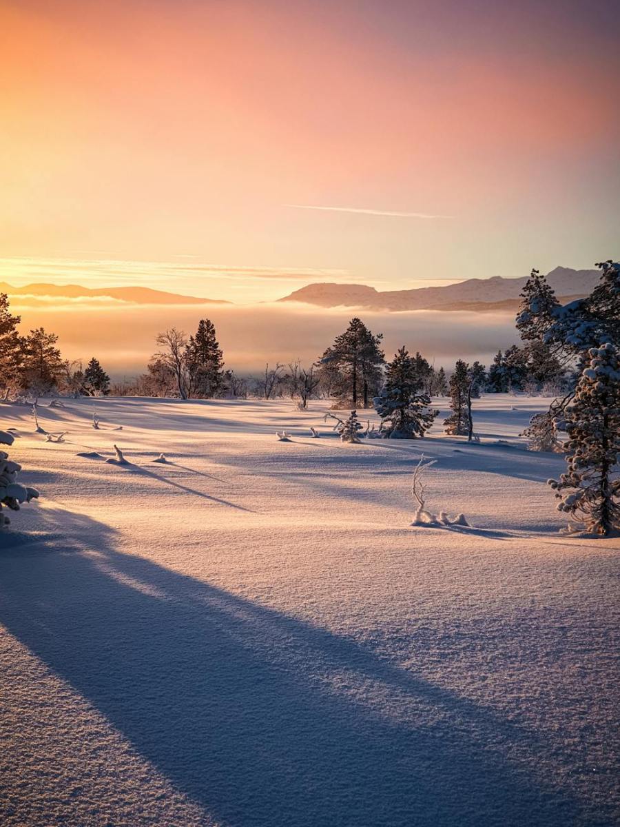 Monatsprogramm | Dezember 2025