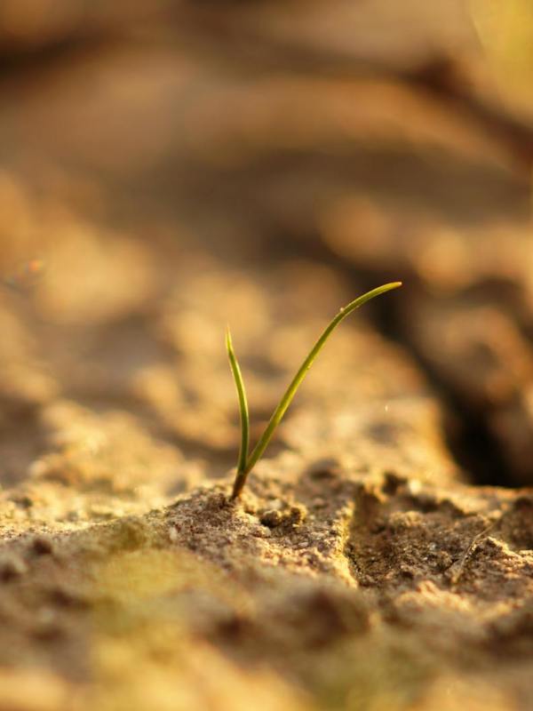 Gottesdienst am 18. Januar 2026 |2. Sonntag nach Epiphanias