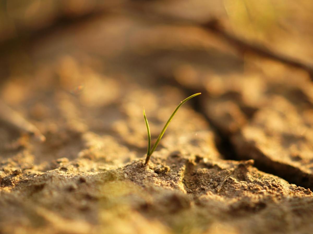 Gottesdienst am 18. Januar 2026 |2. Sonntag nach Epiphanias