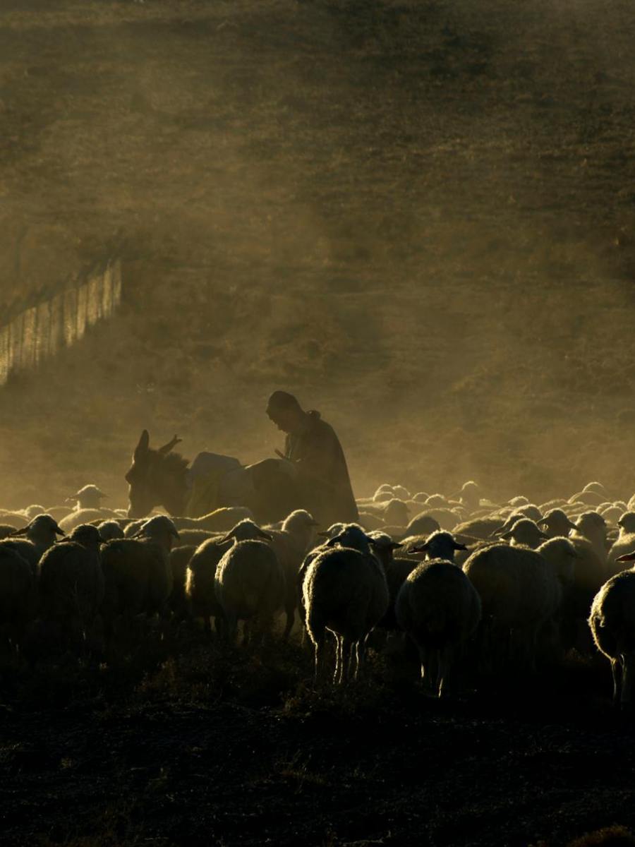 Gottesdienst am 19. April 2026 | Miserikordias Domini